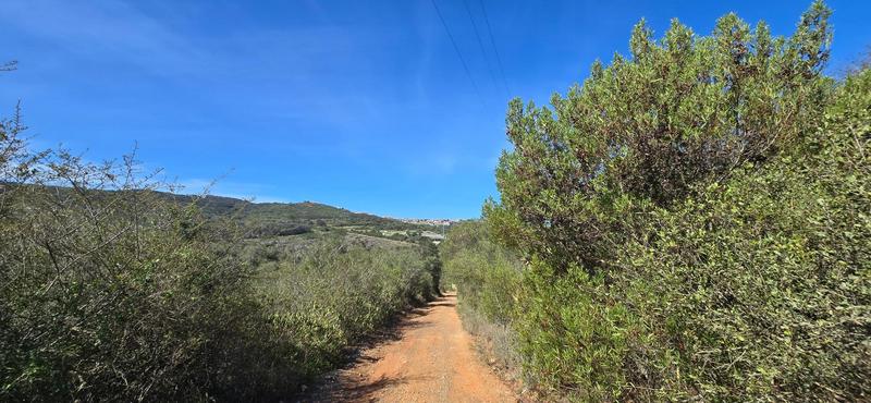 0 Bedroom Property for Sale in Groot Brakrivier Central Western Cape